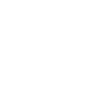network-item-icon