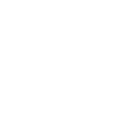network-item-icon