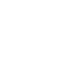 network-item-icon