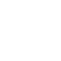 network-item-icon