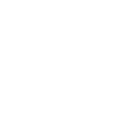 network-item-icon